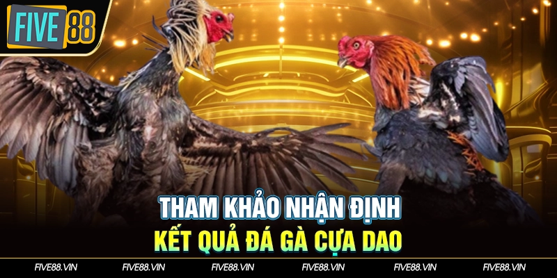 Tham khảo nhận định kết quả đá gà cựa dao