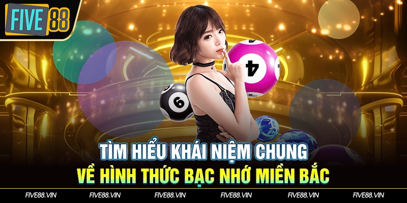 Tìm hiểu khái niệm chung về hình thức bạc nhớ miền Bắc